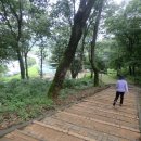 탄금대궁도장 이미지