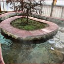 율암온천 이미지