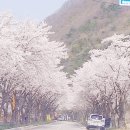 백양사 먹거리타운 이미지