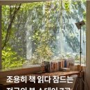 스테이 호자 이미지