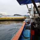 원전어촌계 (쌍둥이1)낚시터 이미지