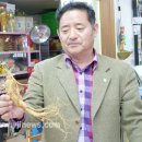 모태영농조합법인 이미지