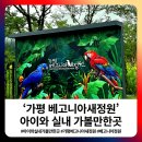 잉꼬하우스 | [공지] 가평 베고니아새정원 아이와 실내 가볼만한곳