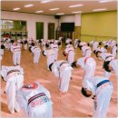 가야태권도 이미지