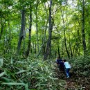 수만리마애석불 등산로입구 이미지