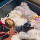 성윤농장 이미지