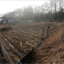 기천보건진료소 이미지