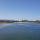 남항진해변 이미지