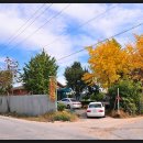 경춘농원 이미지