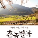 촌놈채소