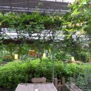 원평농장 이미지