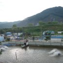 용천농장 이미지