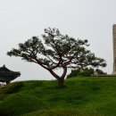 광양 마로산성 | 침략의 기억을 새긴 산성