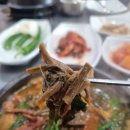 울릉도 엉겅퀴 흑염소
