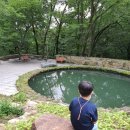 스테이 하구 이미지