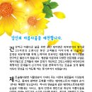 황경애스킨케어 이미지