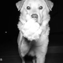 아이콘 코인노래연습장 이미지