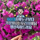 주문제작토퍼 맛집: 오블리무드 환갑토퍼 솔직후기