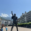 동상세탁 이미지