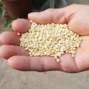 도윤농장 이미지