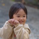 테하스랜드 글램핑장 | 2025 10