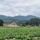 자운2리 경로당 이미지