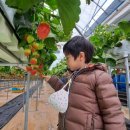 연준농장 이미지