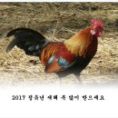 2017 정유년 새해 인사말로 멋진 한해 시작해요 이미지