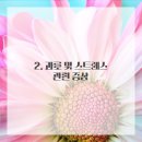 편안한방병원 이미지