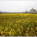 덕흥농장 이미지