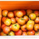 해오름2농장 이미지