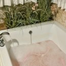 담양스테이 | 담양 감성숙소 스테이휘경, 담양 숙소 내돈내산 솔직 후기