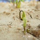 놀뫼푸드 이미지