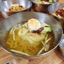 우리밀면 | 석쇠불고기랑 궁합최고였던 경주 밀면맛집 '고향밀면' 후기