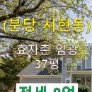 분당중앙공인중개사사무소 이미지