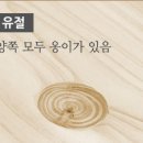 편백나무대형통도마(새제품) 이미지