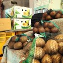 벌교제일수산 이미지