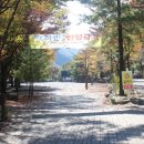 금산산림문화타운캠핑장 이미지