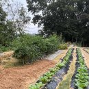 서윤농장 이미지