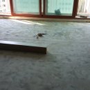 둔덕7길 이미지