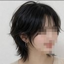 배기연미용기능장의집