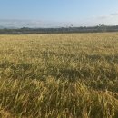 참조은농장 이미지