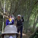 군산 청암산 구불길 답사기 이미지
