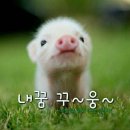 모임방 이미지