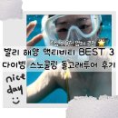 돌고래 | 발리 해양 액티비티 추천 BEST3 다이빙 스노쿨링 돌고래투어 후기