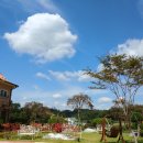 파아란펜션 이미지