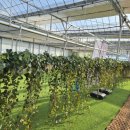 해담농장 이미지