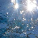 솔의정원 이미지