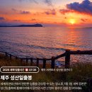 2025 해돋이 행사 이미지