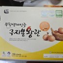 달쥬과일상점 33호점